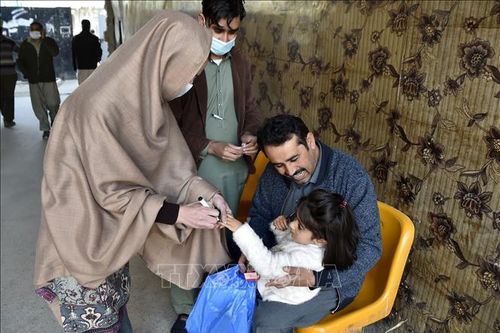 Thêm trẻ sơ sinh nhiễm virus bại liệt hoang dại tại Pakistan
