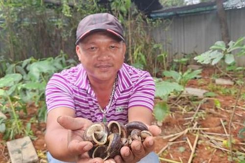Bí quyết làm giàu từ việc nuôi loại động vật hoang dã của anh nông dân ở Quảng Bình