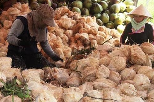 Giá nông sản 7/8: Cà phê biến động trái chiều, dừa khô tăng mức cao