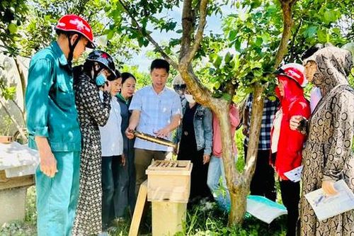 Mở lớp dạy nghề 'đặc biệt' chàng trai giúp người dân miền núi thoát nghèo