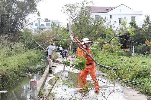Điện lực miền Trung chủ động ứng phó với mùa mưa bão năm 2024