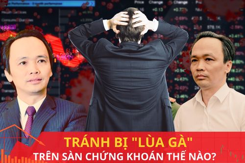 Từ vụ cựu Chủ tịch FLC Trịnh Văn Quyết: Nhà đầu tư cần làm gì để không bị 'lùa gà'?