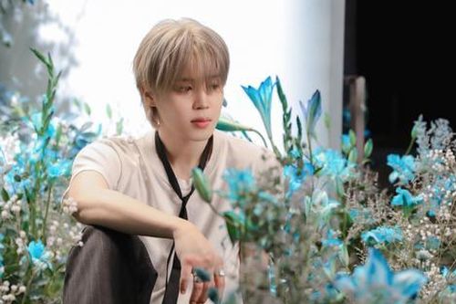 Album mới của Jimin khiến người hâm mộ thất vọng