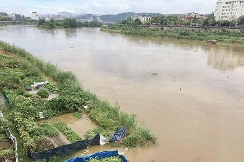 Cảnh báo lũ trên các sông ở Bắc Bộ