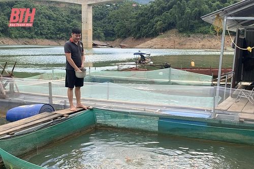 Nuôi cá lồng trên hồ thủy điện Trung Sơn
