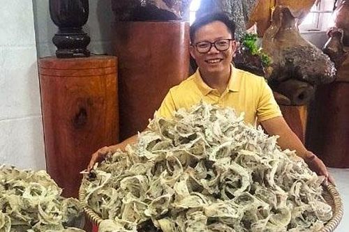Anh Phạm Khắc Quyến thu tiền tỷ từ nghề nuôi chim yến