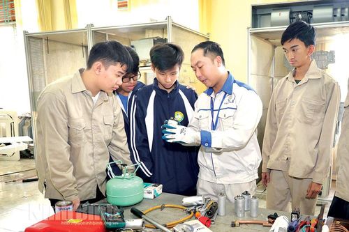 Thực hiện Chỉ thị số 37 của Ban Bí thư: Tạo nguồn nhân lực chất lượng cao