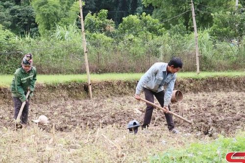 Chiềng Phung nỗ lực phát triển kinh tế