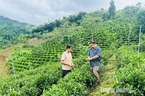 Giám đốc người Dao đưa đặc sản vào siêu thị