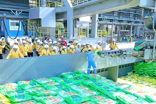Đạm Cà Mau (DCM) linh hoạt tăng cường xuất khẩu, khai thác loạt thị trường mới