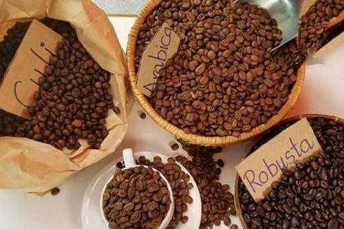 Ngày 7/8: Giá cà phê tăng mạnh, hồ tiêu lao dốc không phanh, cao su biến động trái chiều