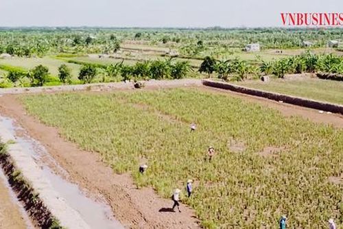 Hành trình 'vượt ngàn chông gai' khởi nghiệp làm giàu của nông dân Thái Bình