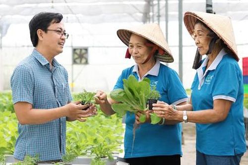 Đồng hành cùng HTX hướng tới nông nghiệp đa giá trị