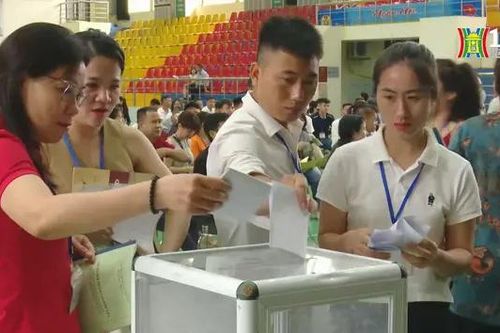Đất vị trí đẹp ở Đan Phượng thu hút khách đấu giá