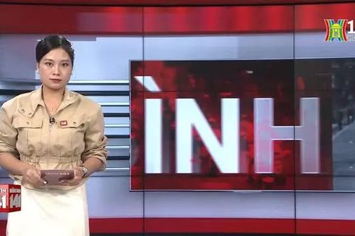 Bản tin 141 | 07/08/2024