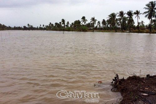 Phải bám sát phương án phòng, chống thiên tai