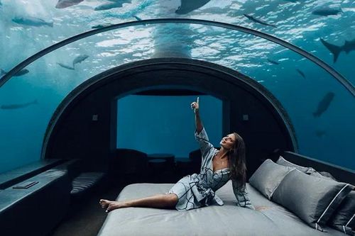 Bên trong khách sạn vừa nằm, vừa ngắm cá mập bơi đắt nhất thế giới