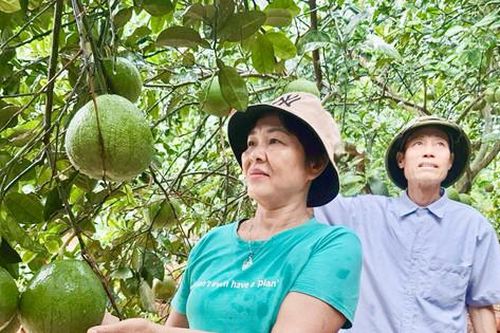 Nông dân Ba Vì sử dụng hiệu quả vốn vay ưu đãi