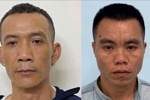 Nhân viên bảo vệ và công nhân điện câu kết trộm tài sản