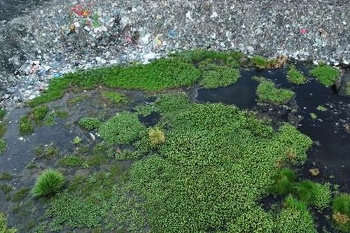 Vụ nhà máy rác Nam Giang: Tỉnh Nam Định ra 'tối hậu thư' gửi huyện Nam Trực