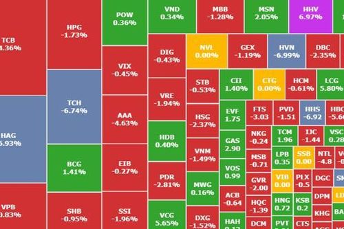 VN-Index mất mốc 1.210, bộ đôi cổ phiếu nhóm Hoàng Huy nằm sàn