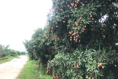 Xây dựng nông thôn mới là kết quả đồng lòng từ nhân dân đến chính quyền các cấp
