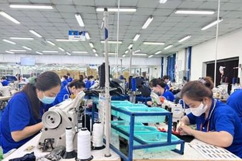Đồng bằng sông Cửu Long: Cải cách cơ chế, tạo động lực thu hút doanh nghiệp FDI