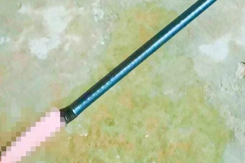 Sát hại cha ruột vì bị la mắng, thiếu niên 15 tuổi lãnh án 11 năm tù