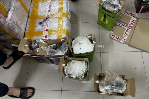 Triệt phá đường dây vận chuyển 97,5kg ma túy dưới hình thức chuyển phát nhanh quốc tế