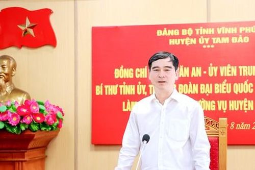 Bí thư Vĩnh Phúc: Xây dựng phong cách kiến trúc, màu sắc riêng biệt cho Tam Đảo