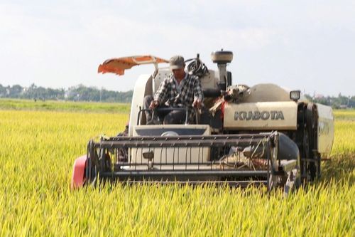 Sơn La đẩy mạnh chuyển đổi số trên cả 3 trụ cột chính