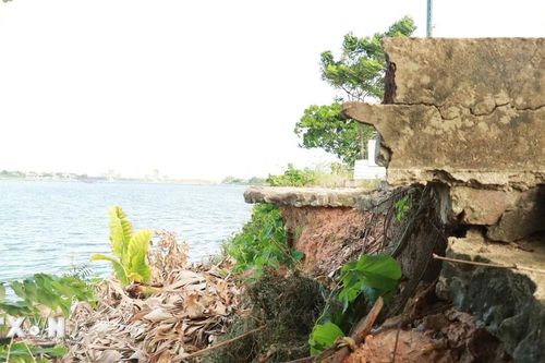 Cận cảnh tình trạng sạt lở nghiêm trọng ở bờ sông Thạch Hãn