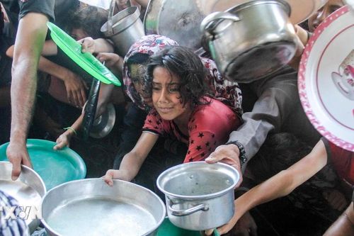 Tổ chức Y tế Thế giới gửi 1 triệu liều vaccine ngừa bại liệt đến Gaza