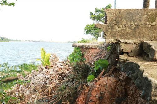 Quảng Trị: Nỗ lực ứng phó với sạt lở bờ sông Thạch Hãn