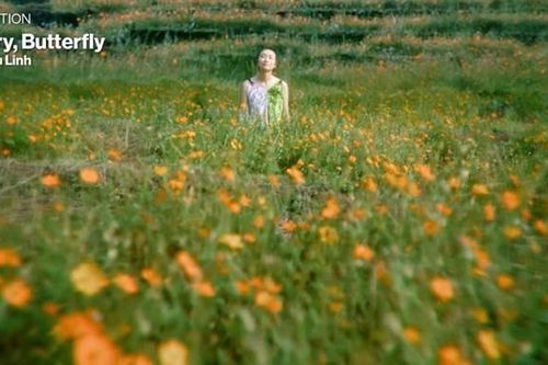 Phim 'Don't Cry, Butterfly' của đạo diễn trẻ Việt Nam sẽ được công chiếu tại LHP Venice 2024