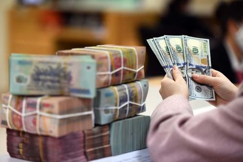 Đầu tư I.P.A phát hành gần 1.100 tỷ đồng trái phiếu để đảo nợ