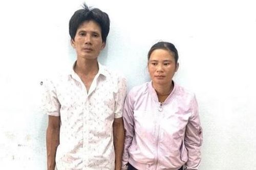 Trộm gà bị công an rượt đuổi, chồng bỏ vợ rồi chạy vào rừng keo lẩn trốn
