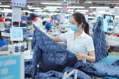 Ứng phó với quy định mới tại EU: Doanh nghiệp dệt may lưu ý gì?