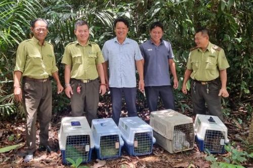 Thả 10 cá thể động vật hoang dã về rừng tự nhiên