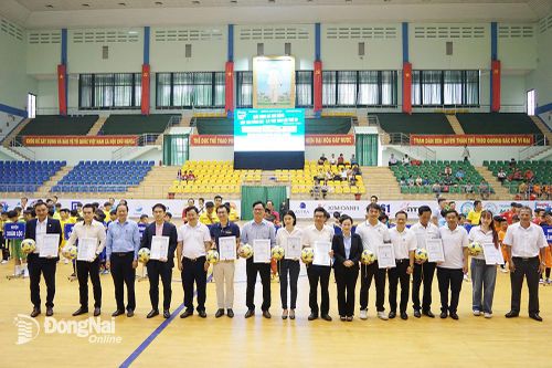 Nâng tầm Giải bóng đá nhi đồng Cúp Báo Đồng Nai - C.P. Việt Nam