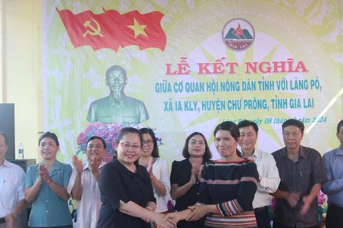 Hội Nông dân tỉnh Gia Lai kết nghĩa với làng Pó