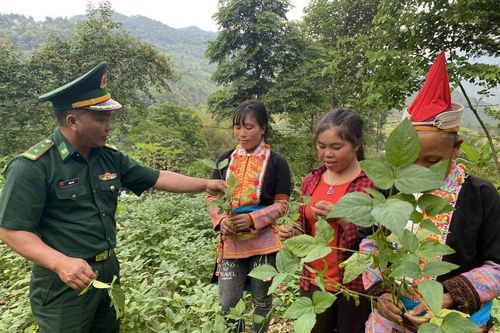 Vững vàng nơi biên cương