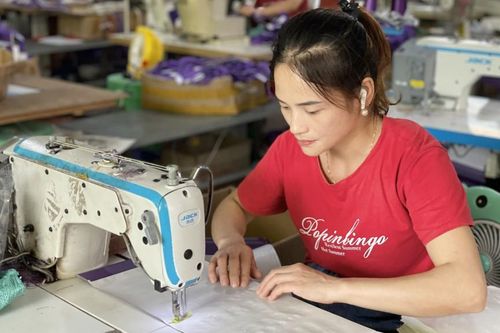 Hợp tác xã Nguyễn An Sơn Bắc Sơn: Phát triển sản xuất gắn với tạo việc làm cho lao động nông thôn