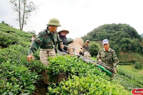 Phát huy vai trò tiên phong, gương mẫu của đảng viên