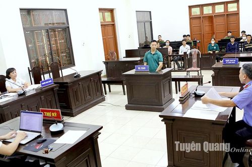 3 năm 4 tháng tù về tội Vi phạm quy định về khai thác, bảo vệ rừng và lâm sản