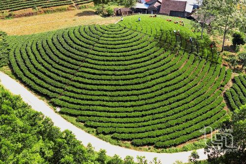 Báo chí góp phần thúc đẩy ngành 'công nghiệp không khói'