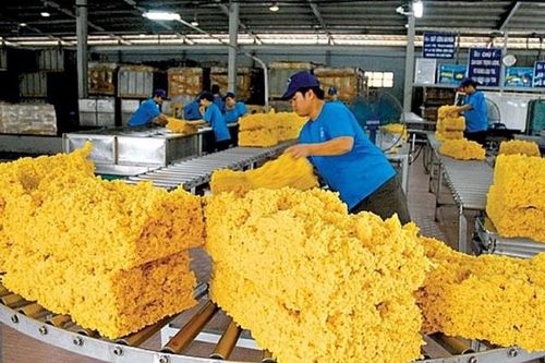 Nhu cầu tại Trung Quốc chững, xuất khẩu cao su của Việt Nam quý II/2024 giảm cả lượng và trị giá