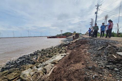 Bạc Liêu: Quyết liệt ứng phó với sạt lở đê biển Đông, ban bố tình trạng khẩn cấp