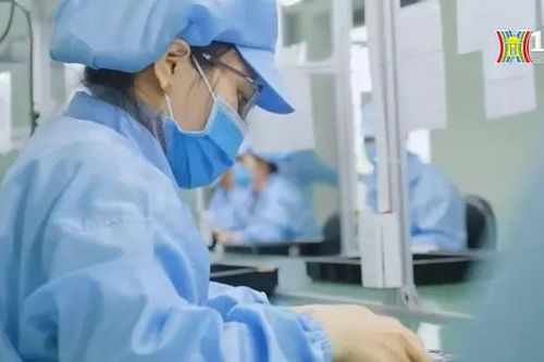 Trung Nam EMS bị cưỡng chế tài khoản do nợ thuế