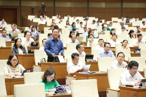 Trách nhiệm cao cả trước cử tri
